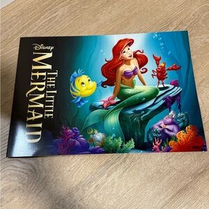 Disney Store commemorative lithograph